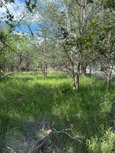 Lot 200 Nene Ln — photo 2