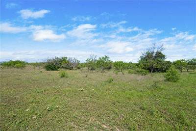 TBD County Road 236 — photo 3