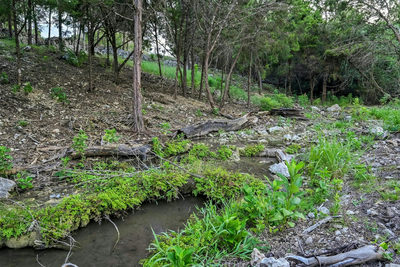 20099 Westlake Pkwy #Lot 6 — photo 5