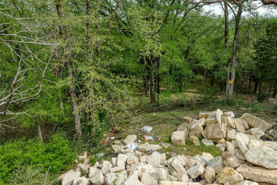TBD Ripple Brook Dr — photo 3