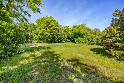 2703 Poplar Ln — photo 5