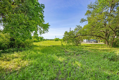 2704 Poplar Ln — photo 4