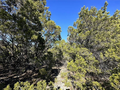6402 Cimmaron Trl — photo 2