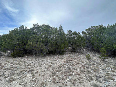 3105 Pilgrim Cv — photo 3
