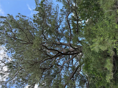 1749 FM 535 — photo 2