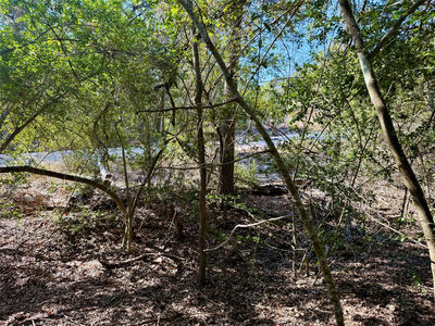 TBD Lot 1232 Hanauma Dr — photo 5