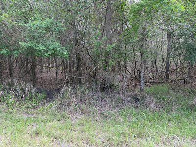 305 Nene Ln — photo 2