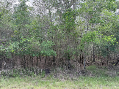 305 Nene Ln — photo 3