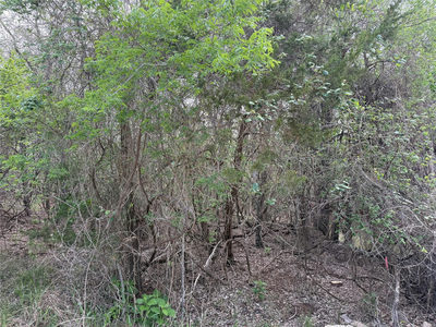 305 Nene Ln — photo 4