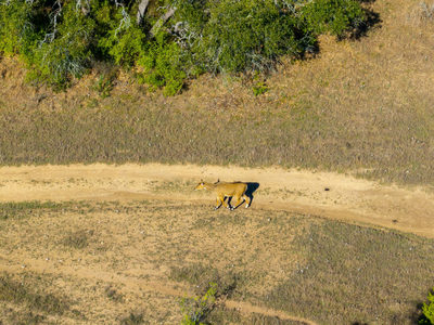 125 Acres Pump Station Rd — photo 4