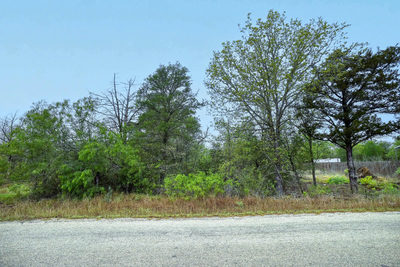 TBD N Gaines Rd — photo 2