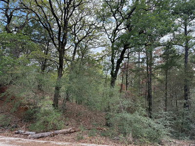 125 Lamaloa Ln — photo 3