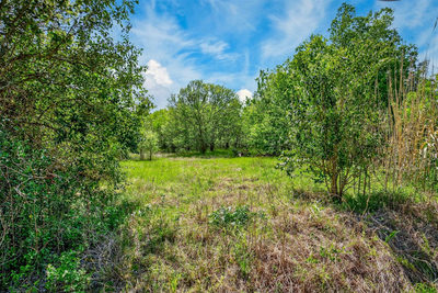 0000 FM 1854 Rd — photo 5