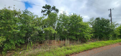 TBD Homonu (Lot 105) Ct — photo 2