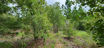 TBD Makaha Dr — photo 4