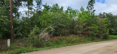 TBD Makaha Dr — photo 3