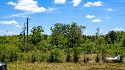 2500 NE County Road 466 Dr — photo 4