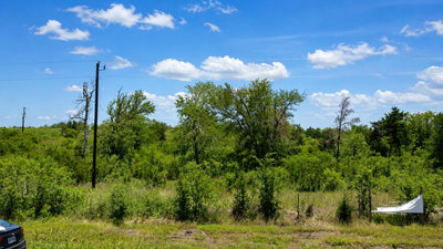 2500 NE County Road 466 Dr — photo 3