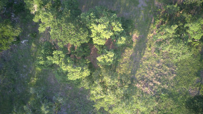 148 W Rio Ranch Rd — photo 5