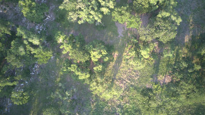 148 W Rio Ranch Rd — photo 3