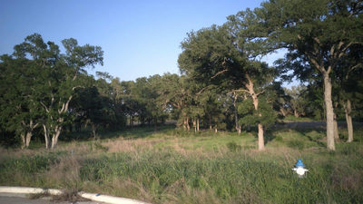 148 W Rio Ranch Rd — photo 4