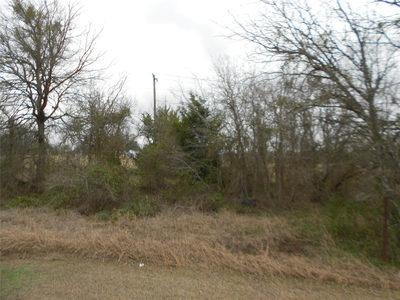 6612 Williamson Rd — photo 3