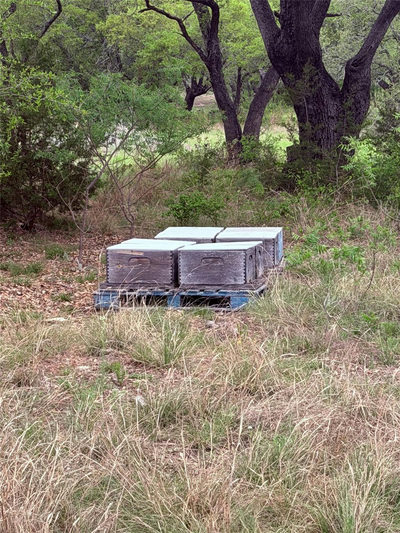 TBD S FM 1174 — photo 4