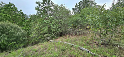 TBD (Lot 1196) Koolua Dr — photo 2