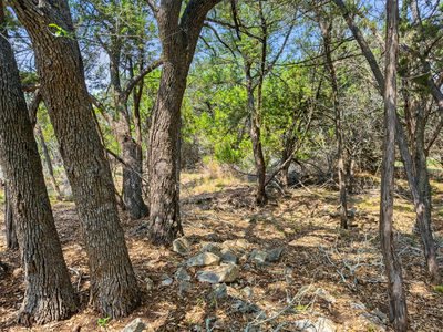 369 Onion Creek Ln — photo 2