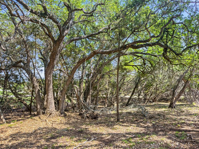 369 Onion Creek Ln — photo 5