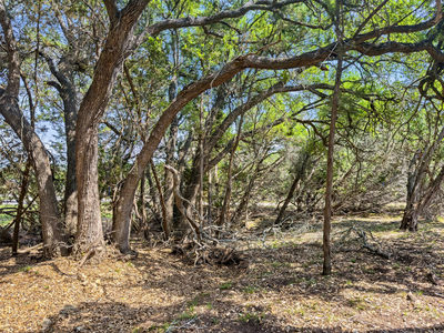 369 Onion Creek Ln — photo 3