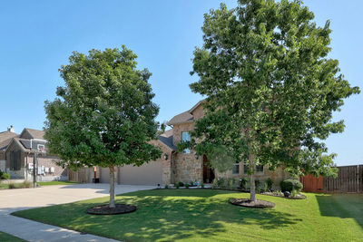 2927 San Milan Pass — photo 2