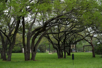 426 Mill Run — photo 4