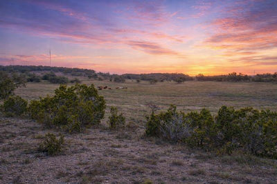 0 Limestone Holw — photo 4