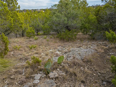21307 Mount View Dr — photo 4