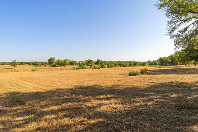 440 Chimney Valley Rd — photo 4