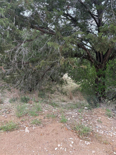 20907 Magellan Cv — photo 3