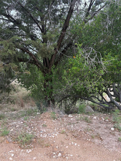 20907 Magellan Cv — photo 4