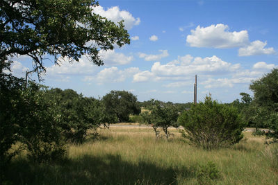 137 W Pat Dolan — photo 2