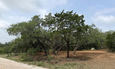 Tract 6 County Rd. 404 — photo 3