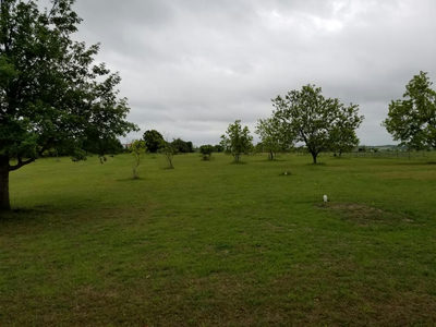 2985 County Road 426 — photo 5