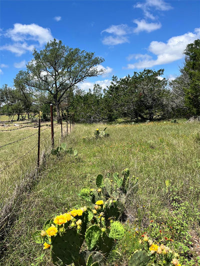 LOT 28 Twisted Oak Dr — photo 4