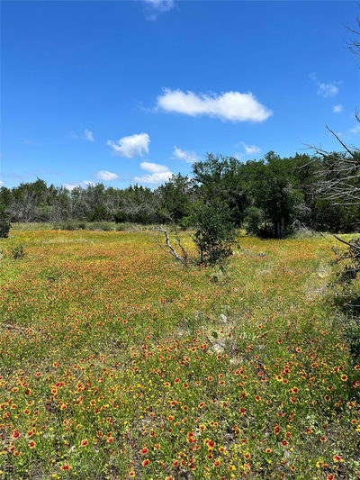 LOT 28 Twisted Oak Dr — photo 3