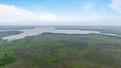 TBD County Road 349 — photo 3