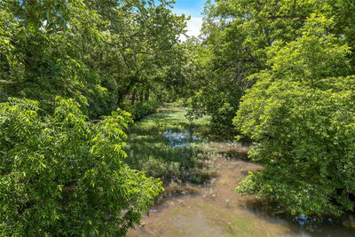 115 Peaceful Valley Rd — photo 4