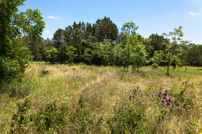 115 Peaceful Valley Rd — photo 5