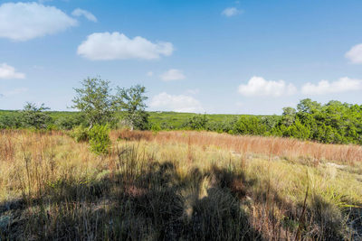 2021 Stagecoach Ranch Rd — photo 4