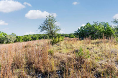 2021 Stagecoach Ranch Rd — photo 5