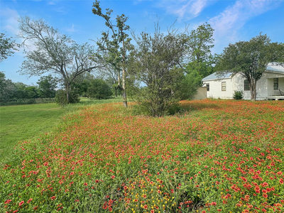 1314 Farm St — photo 3