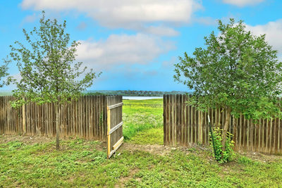 132 Mansfield Lake Trl — photo 4